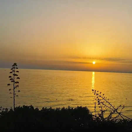 Appartavilla Sul Mare Capo S. Marco - Casa vacanze *